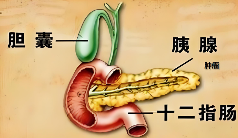 圖文圖片