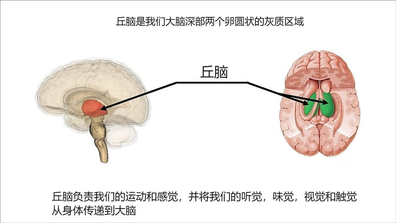 圖文圖片