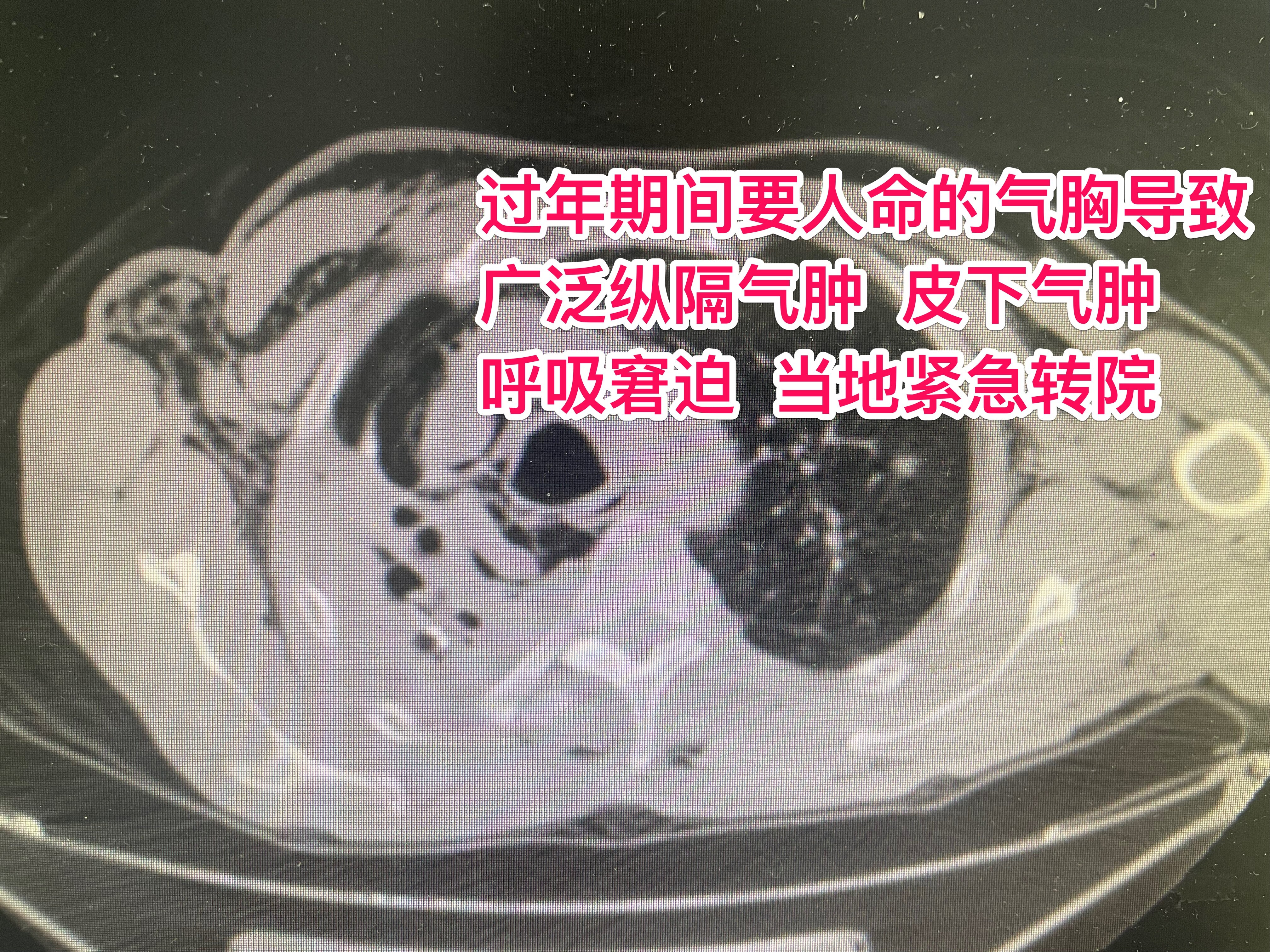 圖文圖片