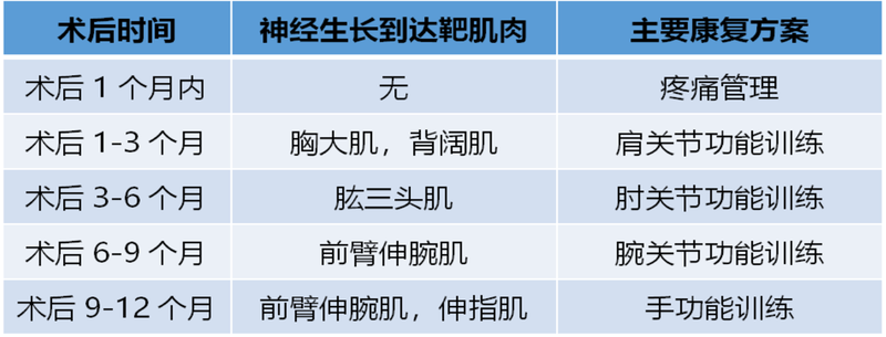 圖文圖片