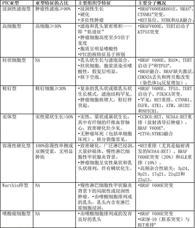 圖文圖片