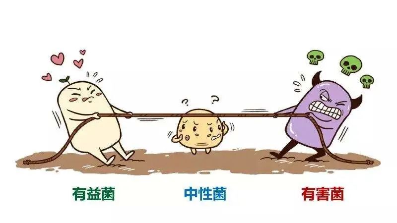 圖文圖片