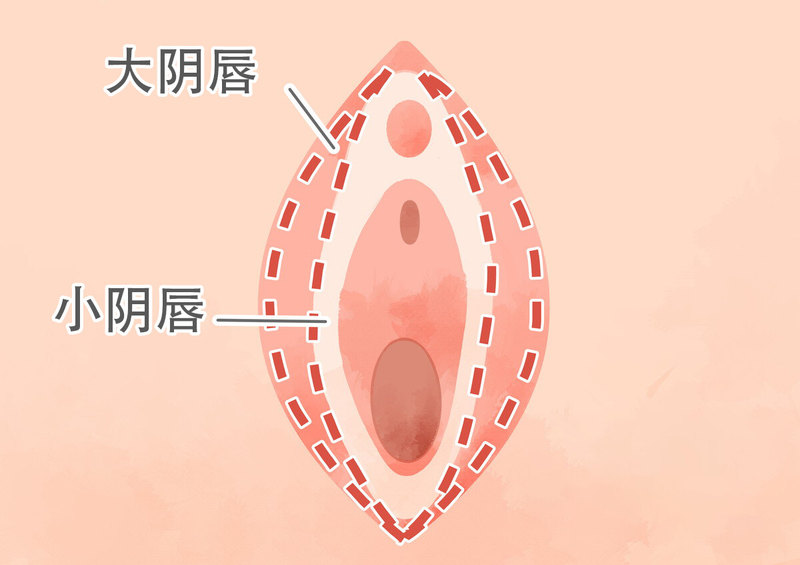 圖文圖片