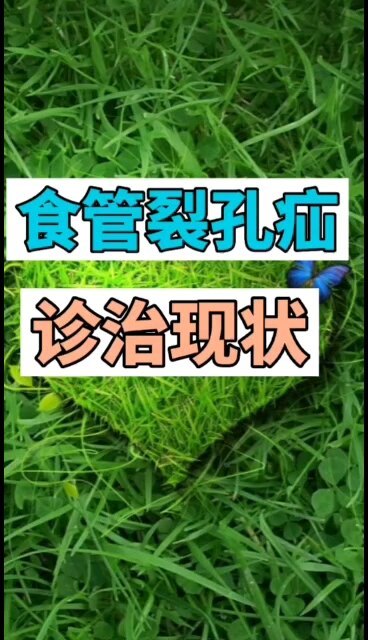 食管裂孔疝的诊治现状