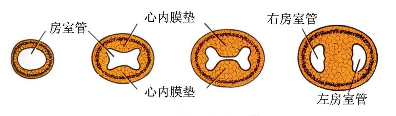圖文圖片