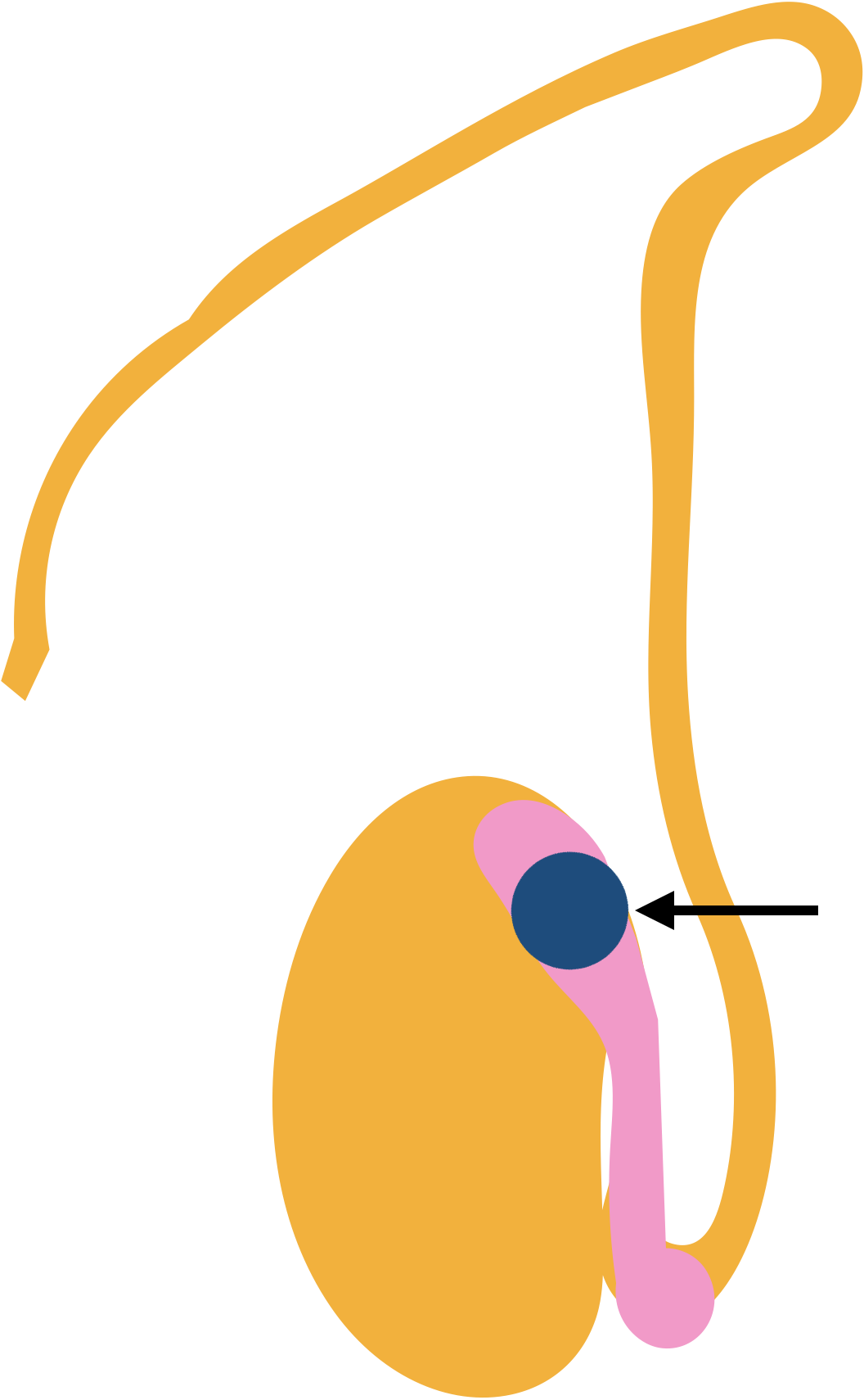 圖文圖片