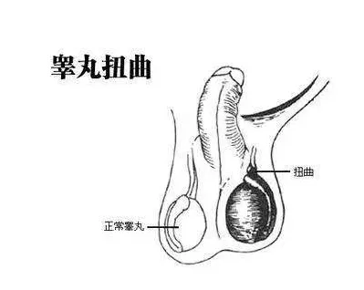 圖文圖片