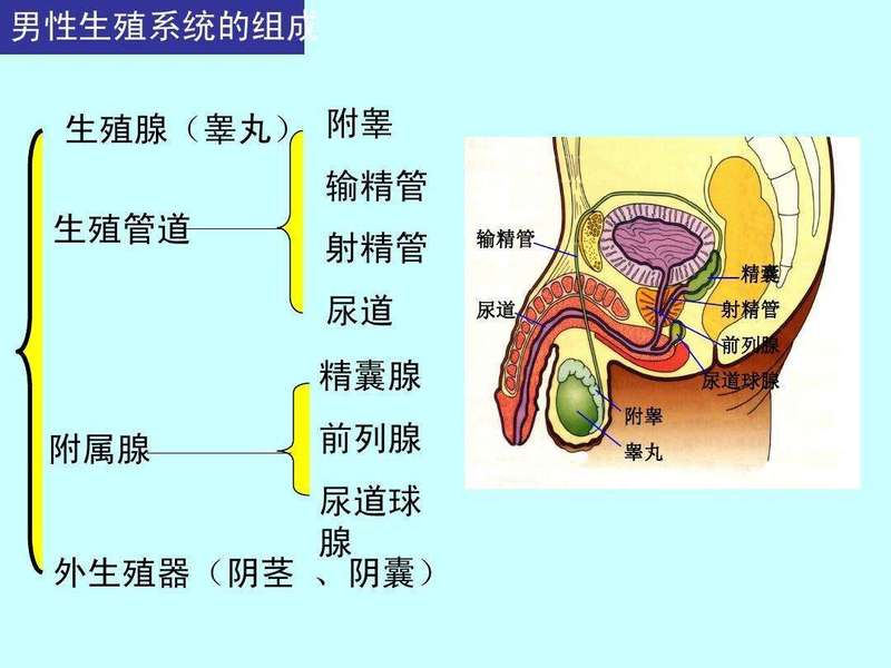 圖文圖片