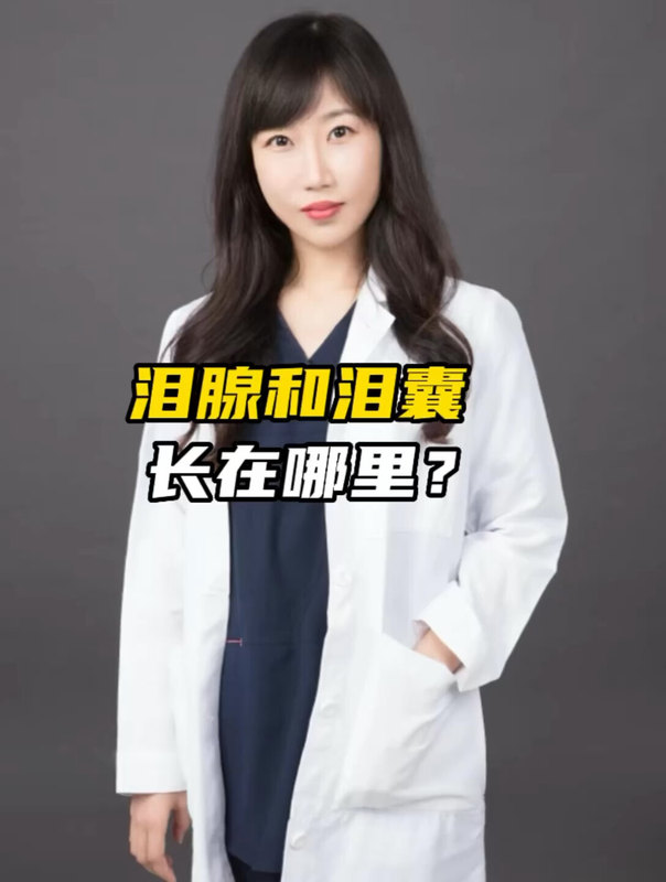泪腺和泪囊长在哪里？