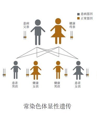 圖文圖片
