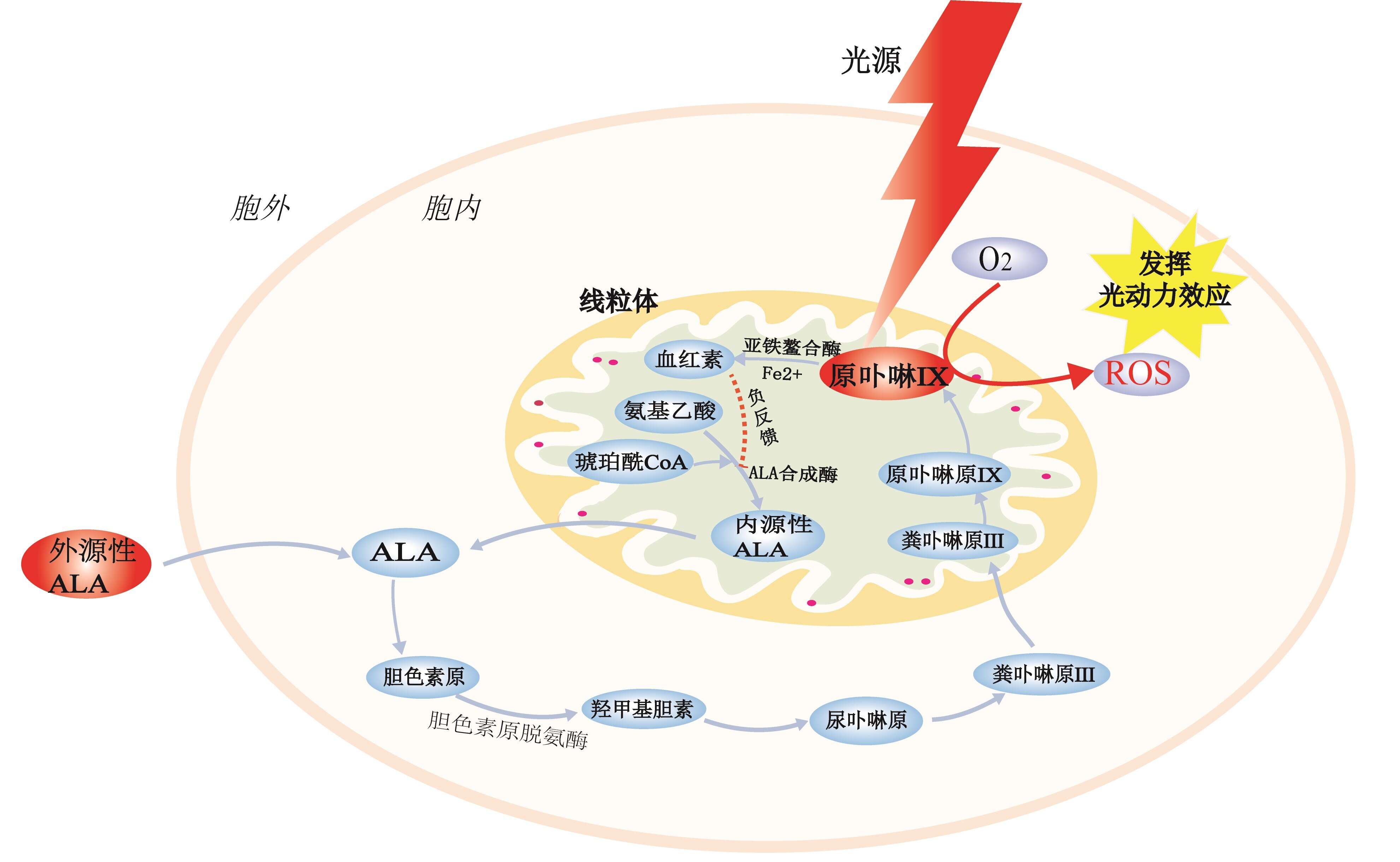 圖文圖片