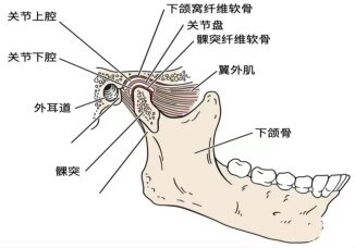圖文圖片
