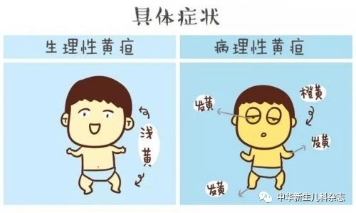 圖文圖片