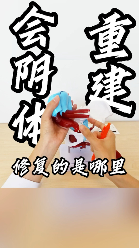 会阴体重建，修复的是哪里？