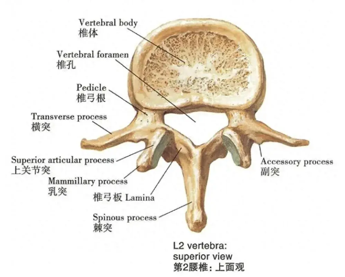 圖文圖片