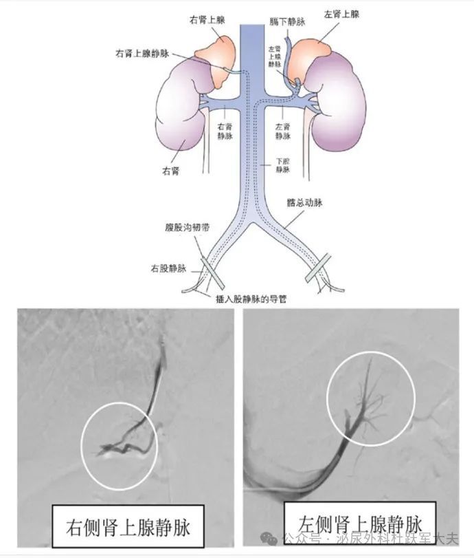 圖文圖片