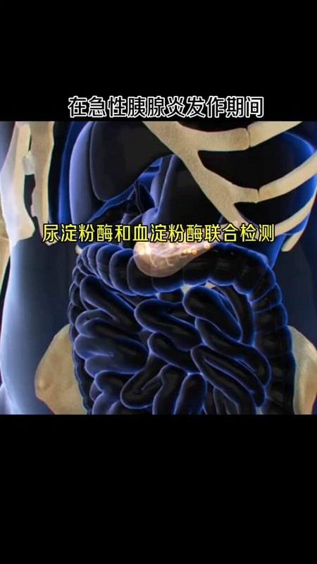 血淀粉酶和尿淀粉酶联合检测的临床意义