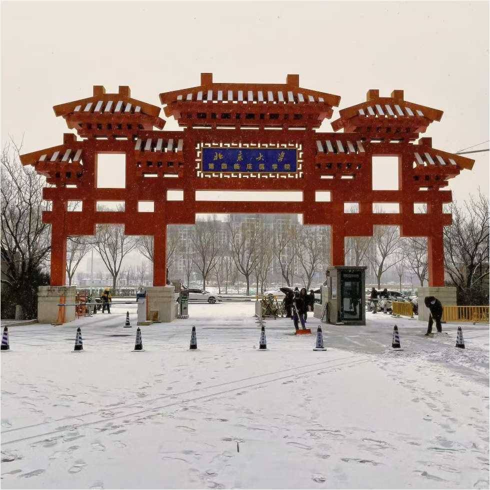 图文图片