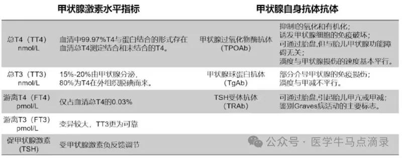 图文图片