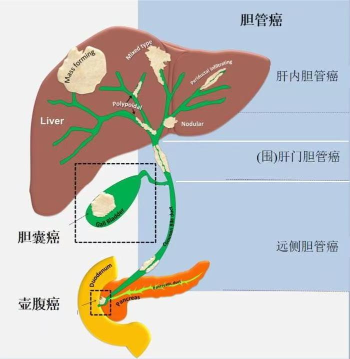 圖文圖片