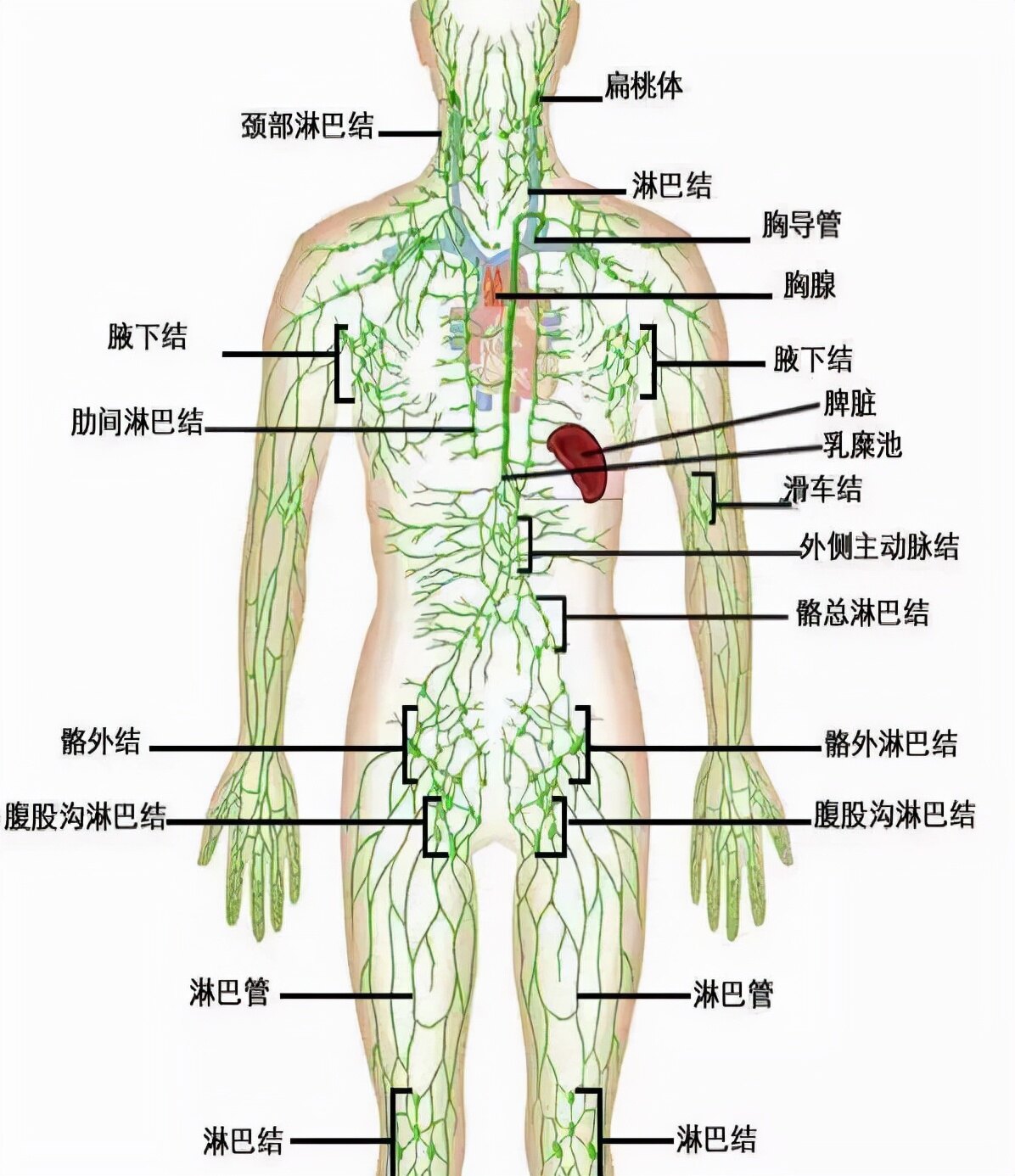 圖文圖片