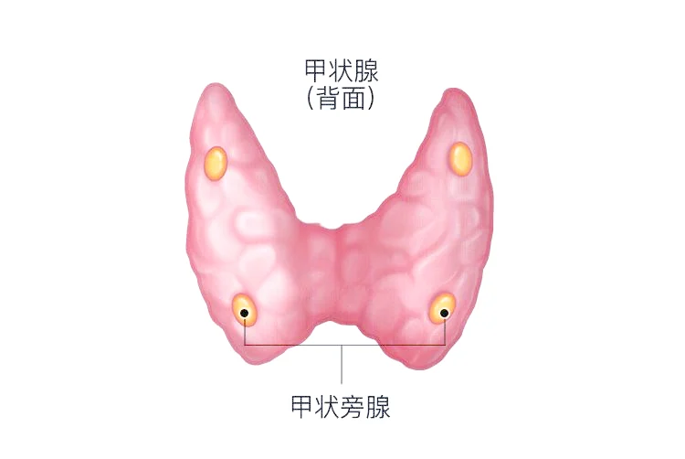 图文图片
