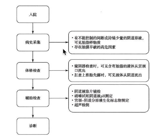 一图读懂胎膜早破诊断流程？