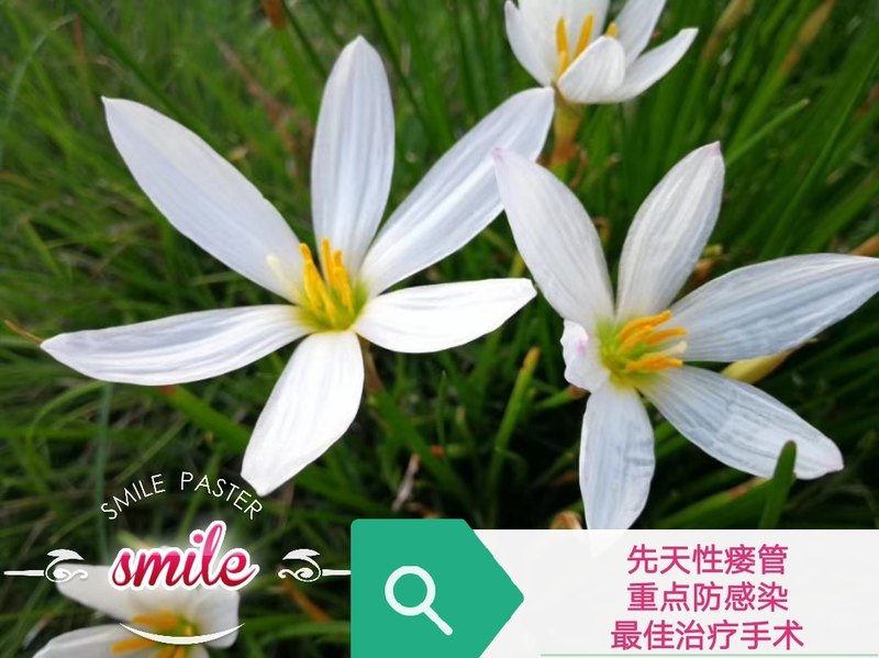 圖文圖片