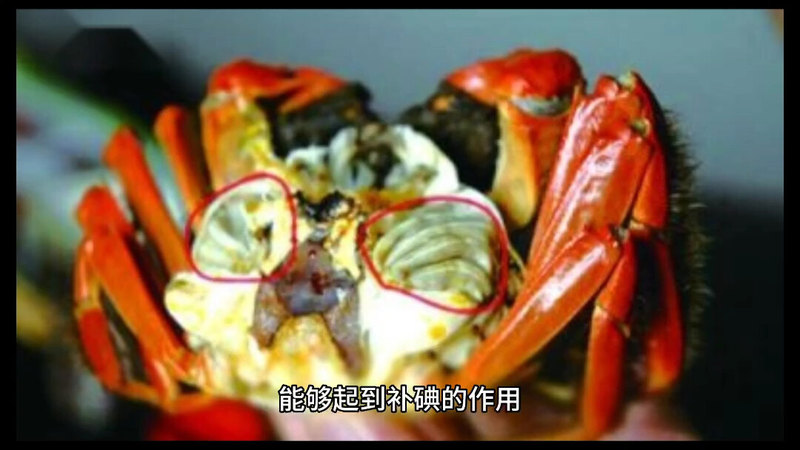 甲状腺疾病患者可以吃大闸蟹吗？
