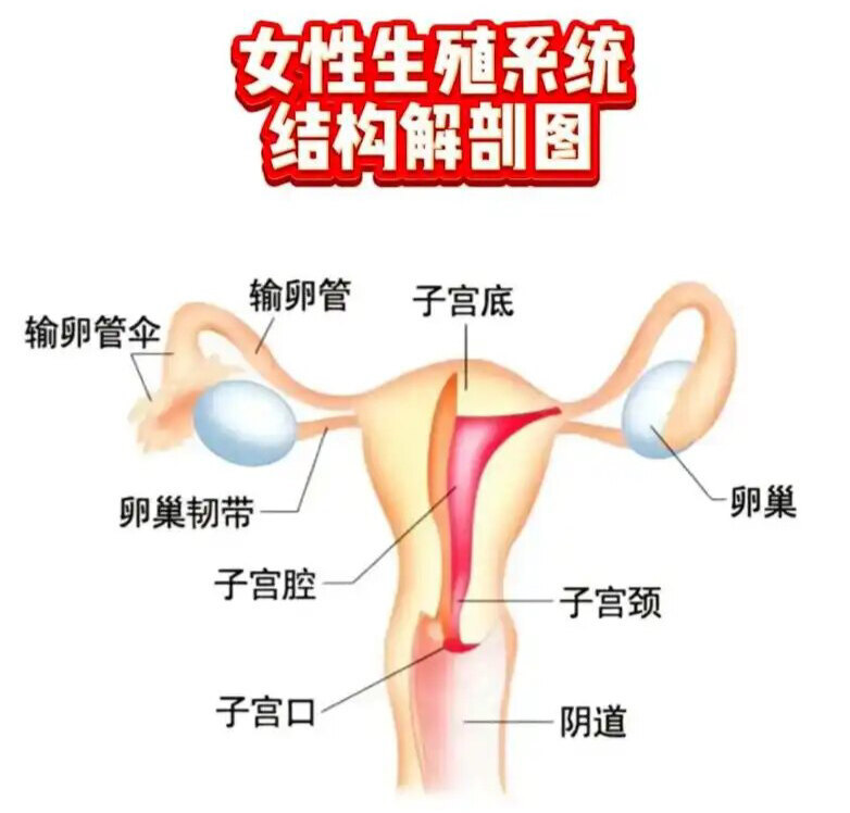 圖文圖片