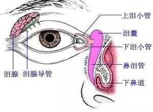 图文图片