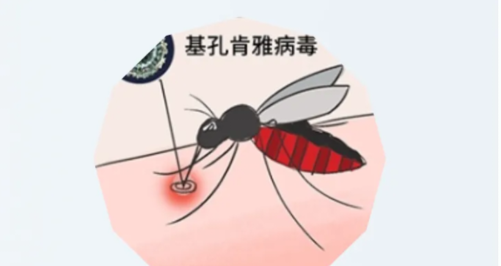 圖文圖片