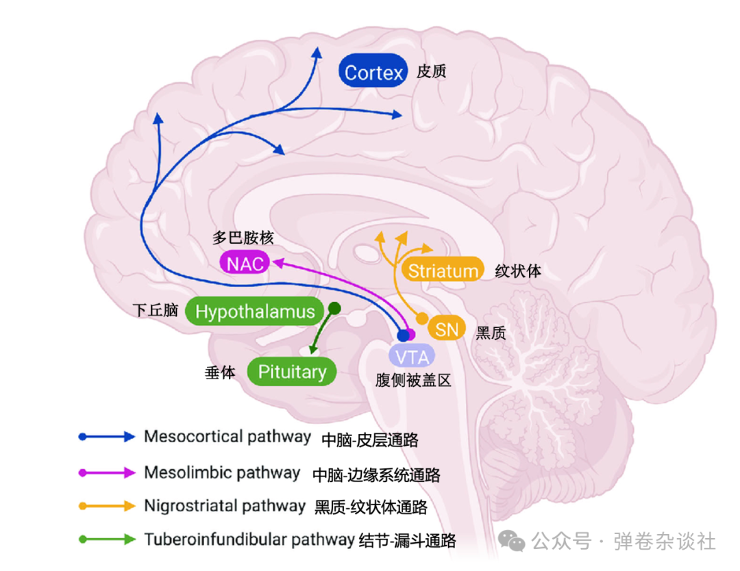 圖文圖片