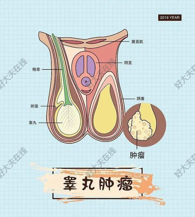 圖文圖片