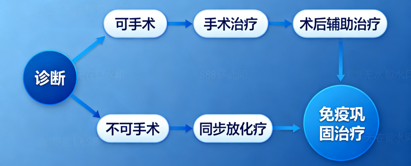 图文图片