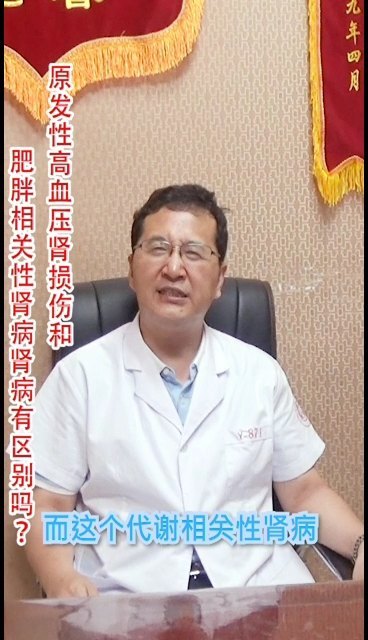 原发性高血压肾损伤和肥胖相关性肾病有区别吗？
