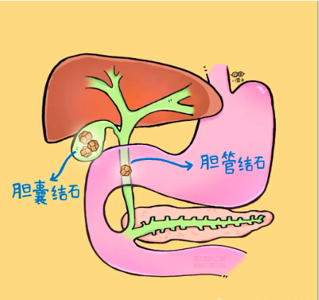 圖文圖片
