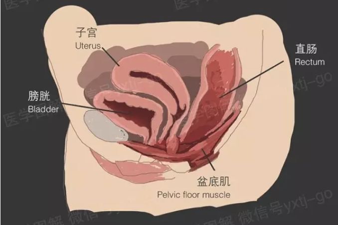 圖文圖片