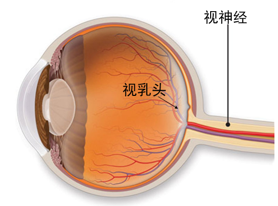 圖文圖片