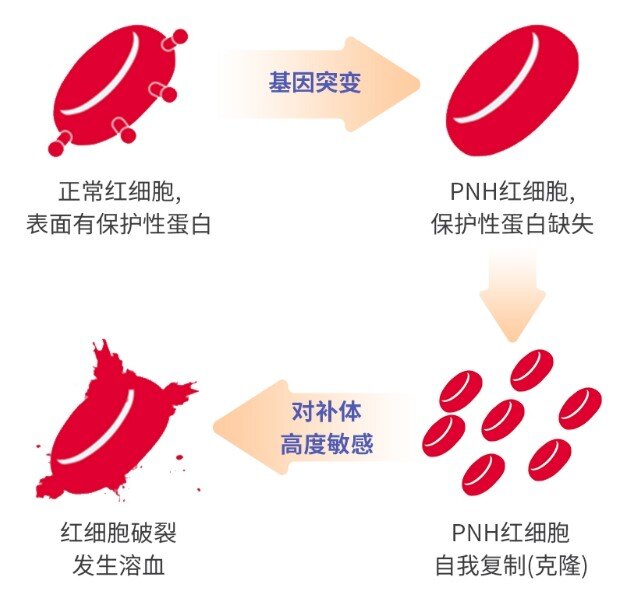 图文图片