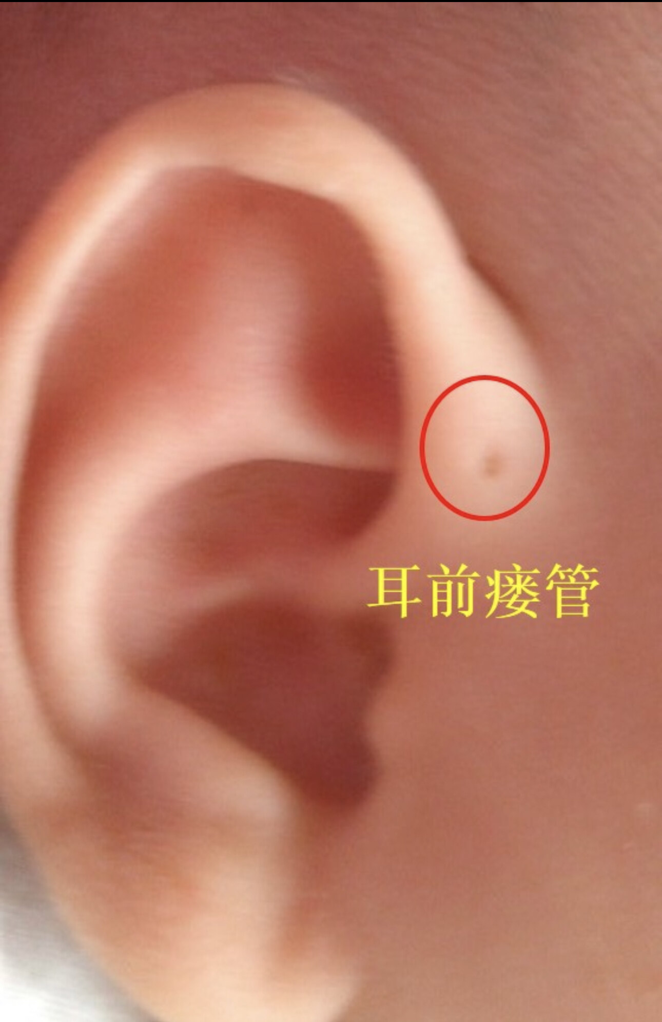 圖文圖片