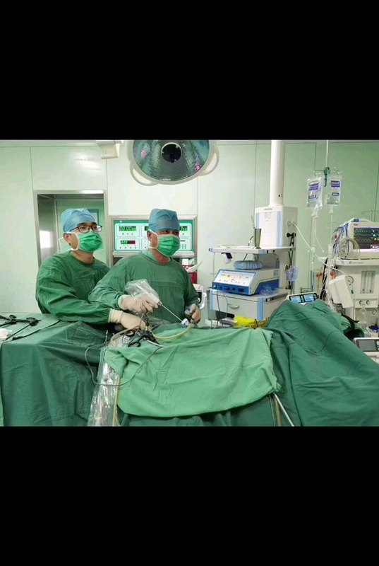 腹膜后巨大肿瘤，在腹腔镜下完成手术。肿瘤与肾血管及左肾上腺、左肾肠管等器官黏连紧密。顺利切除。