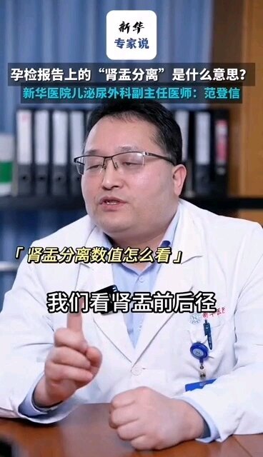 肾积水须知