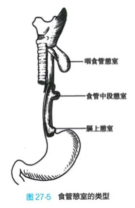 圖文圖片