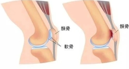 图文图片