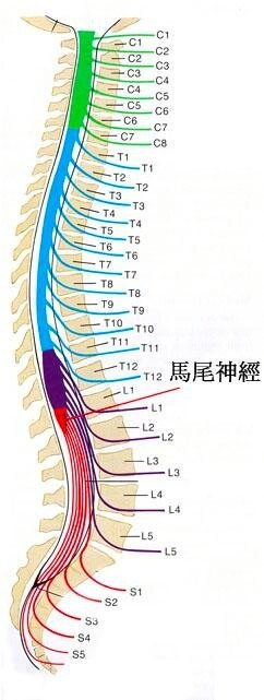 圖文圖片
