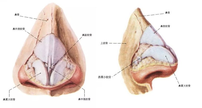 圖文圖片